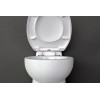 W20SP Silence Watermatic - WC avec Broyeur Intégré - Raccorde 1 WC + 1 Lave Main